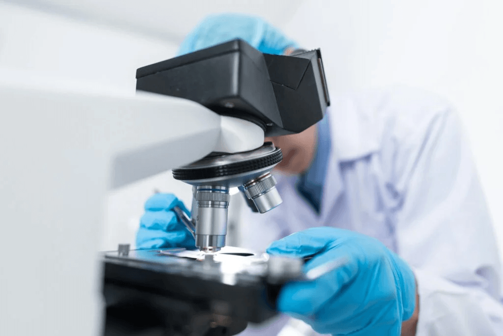 picture of a microscope
